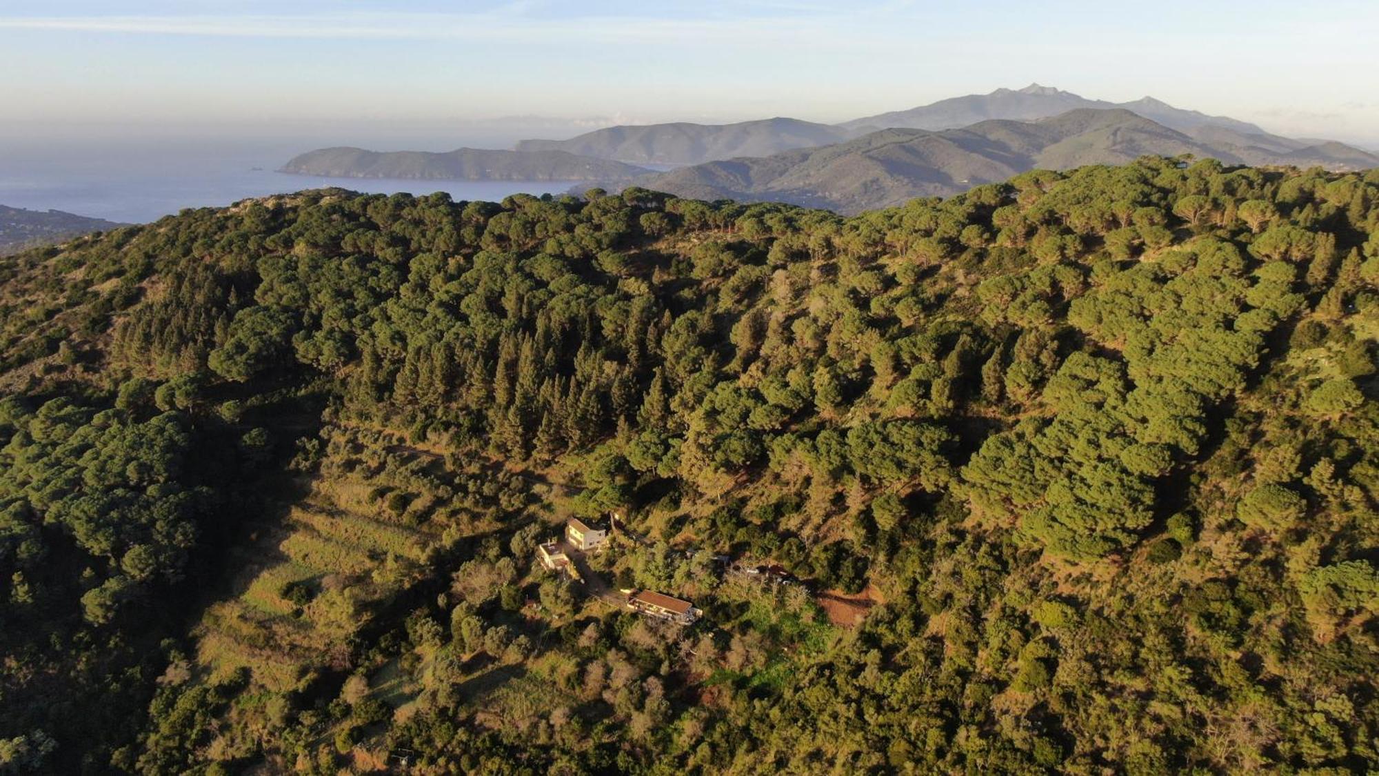 Apartmán Aria Di Collina - Isola D'Elba Porto Azzurro Exteriér fotografie
