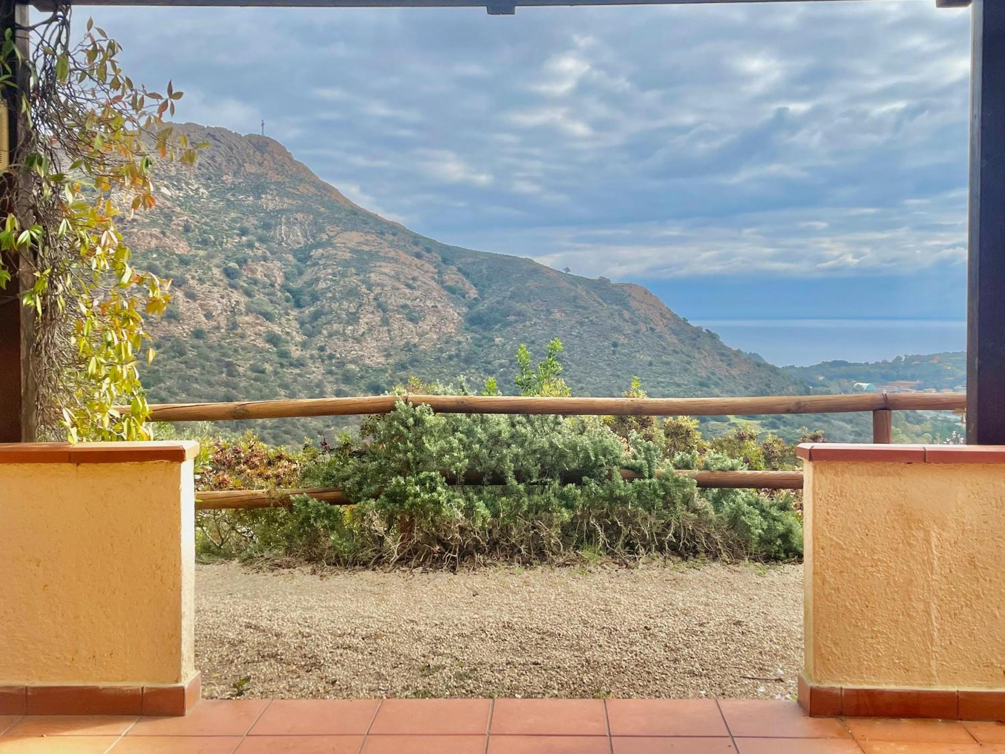 Apartmán Aria Di Collina - Isola D'Elba Porto Azzurro Pokoj fotografie